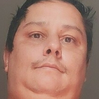 bigbellybrazil Nua