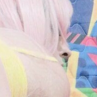 Darkwaifu Trap Nua