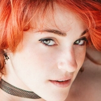 Frenia Nua